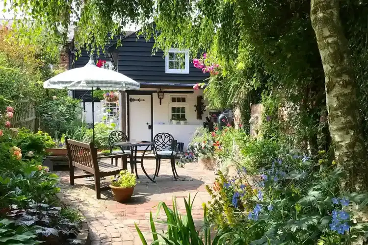 Professional Tree Maintenance